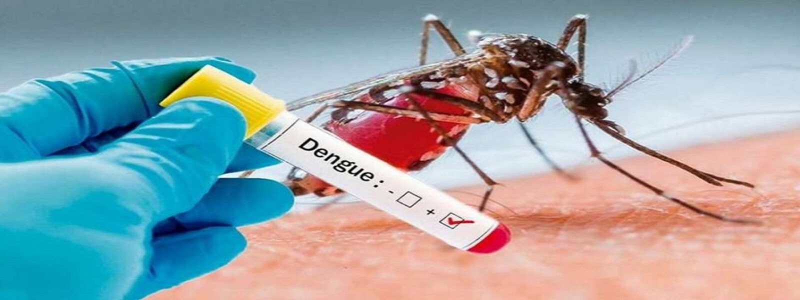 sintomas da dengue