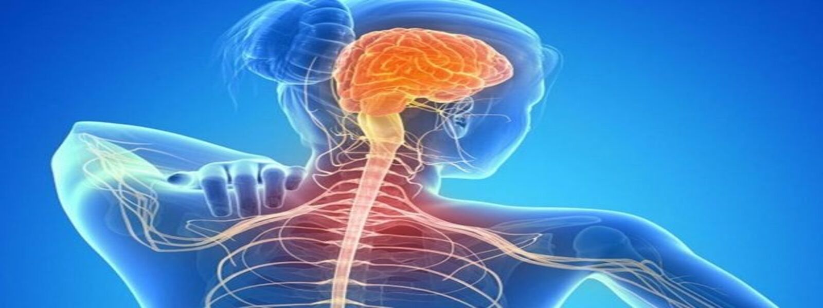 esclerose multima sintomas, causa, cura